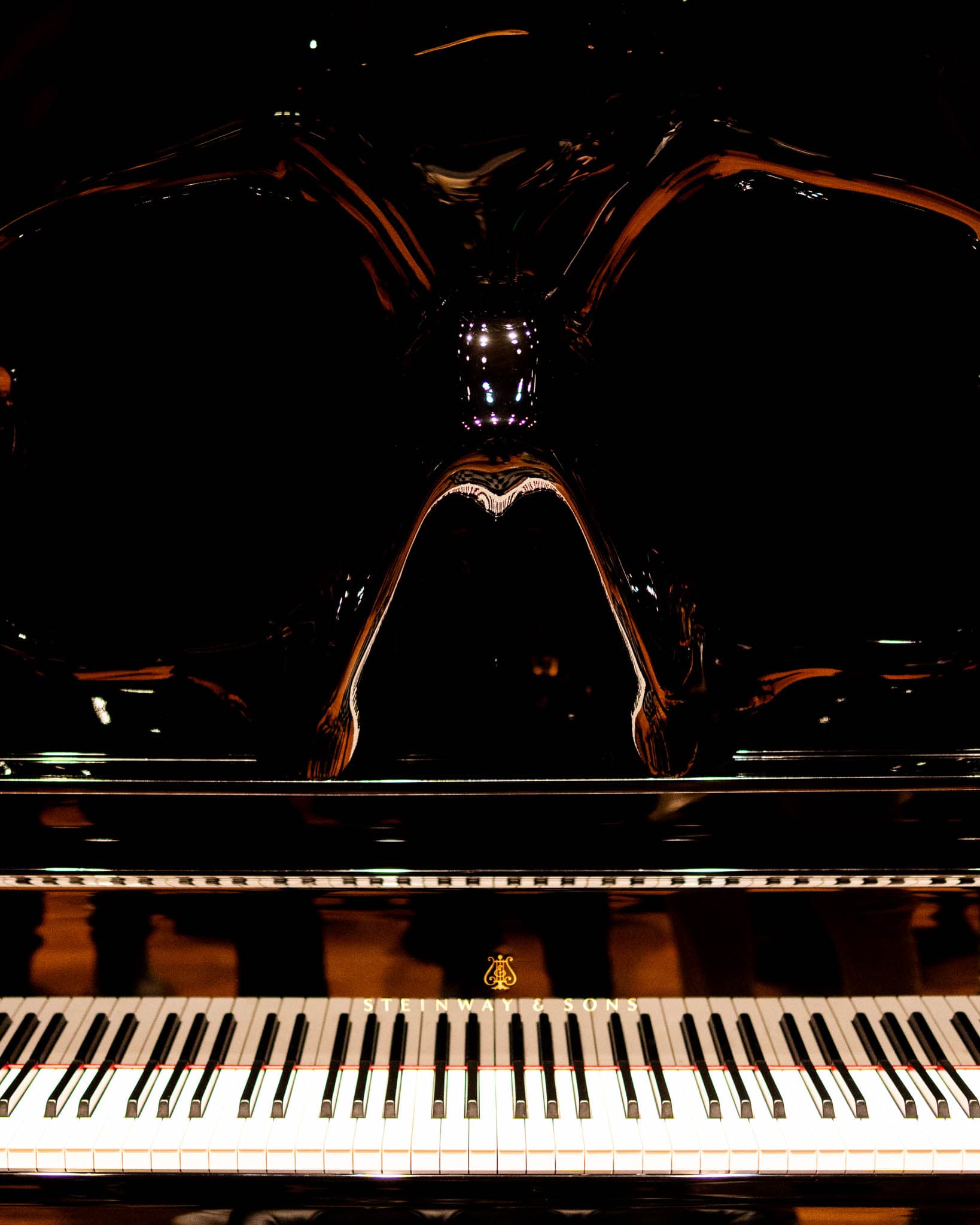 /carnegie/DSC00247.JPG