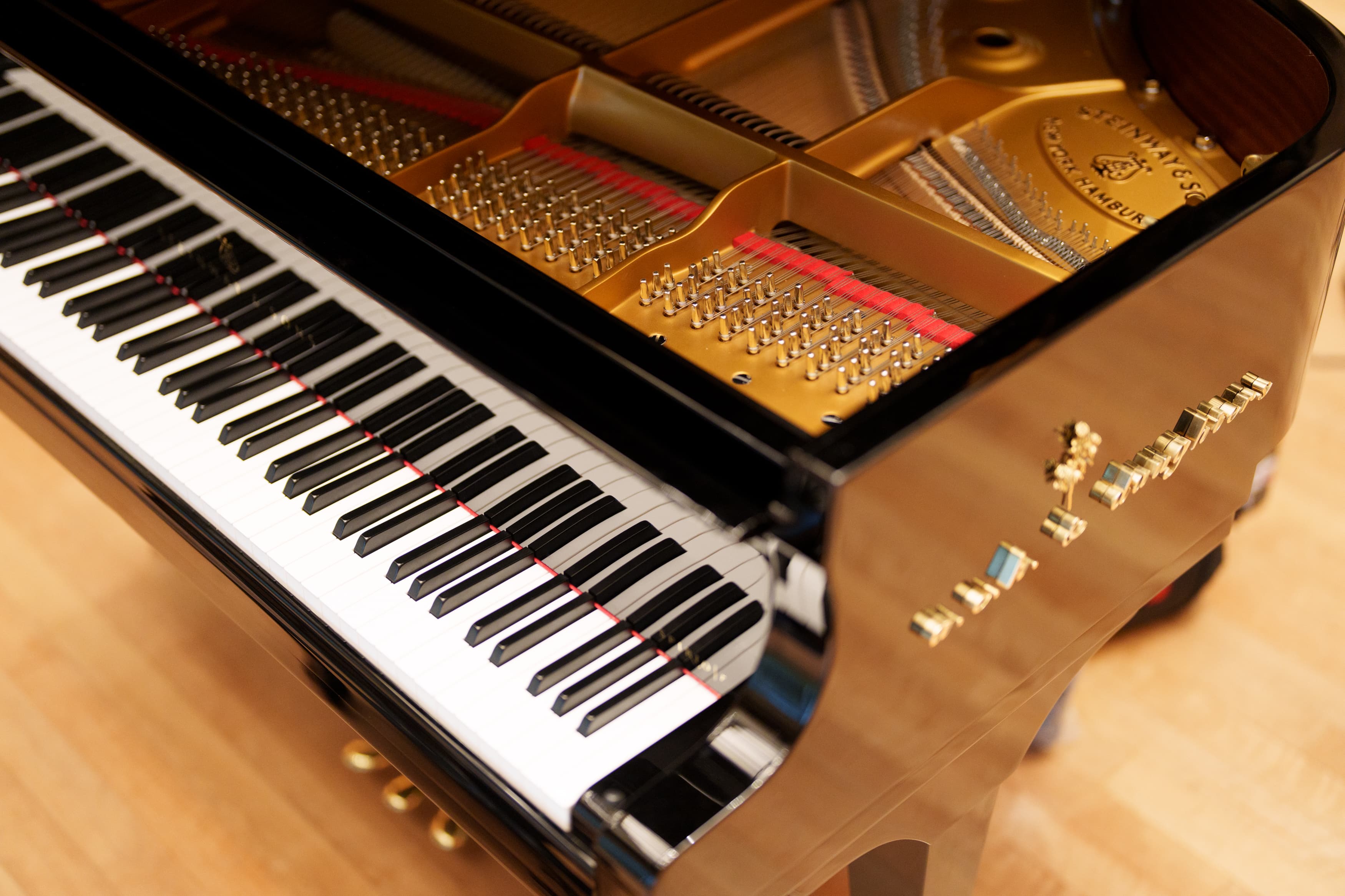 /carnegie/Oveck-08005.jpg